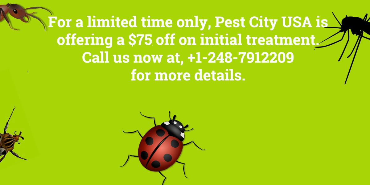Pest Control Services in Detroit