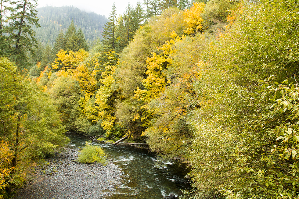 Photographing Oregon Santiam River North Branch