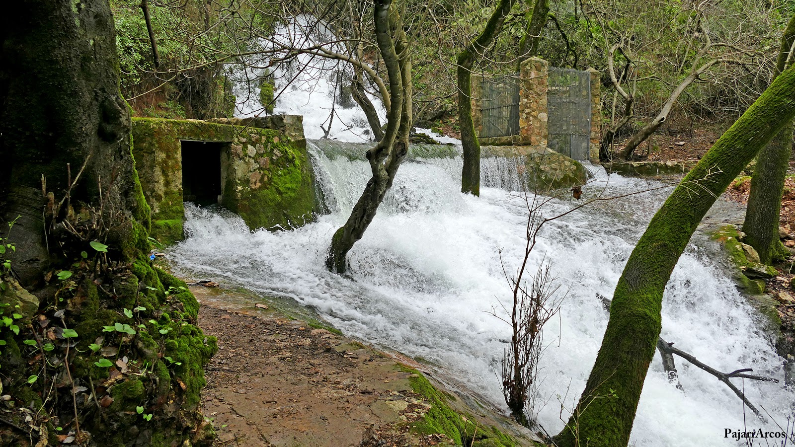 Foto de Manantial Las Artezuelas en Jimera de Líbar, Málaga