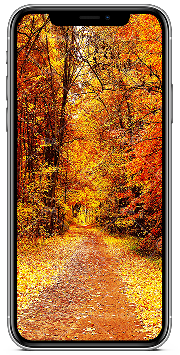 Fall Wallpapers iPhone