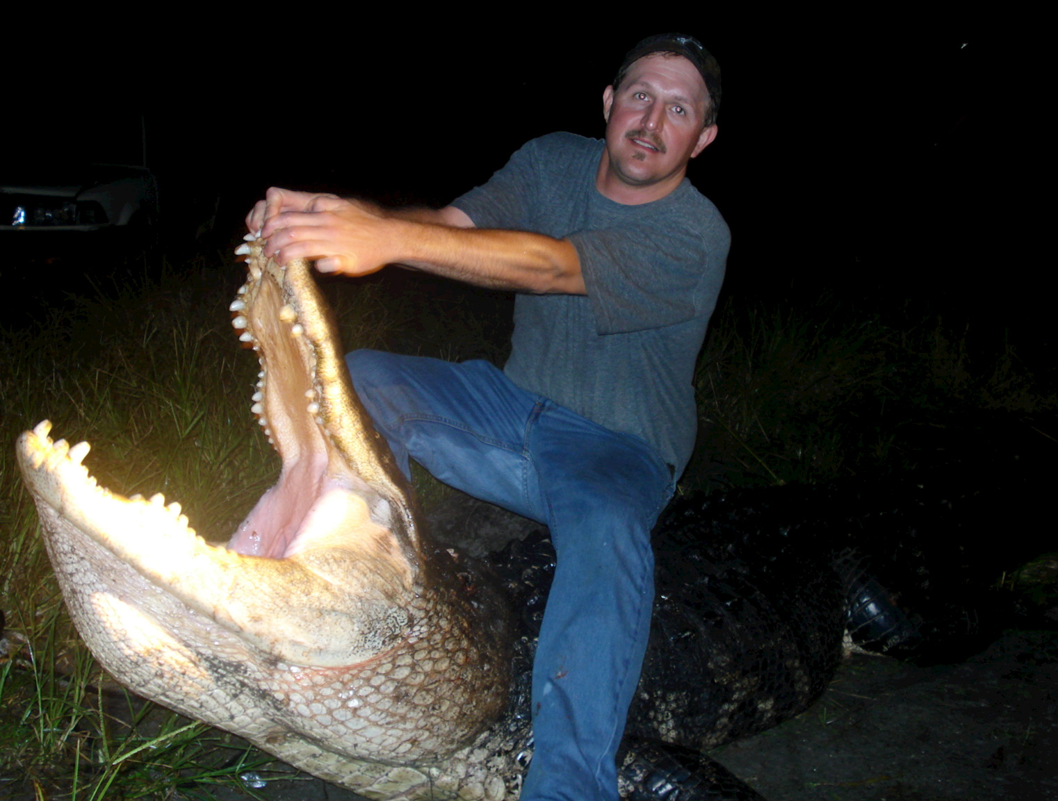 The Wild Life Alligator European Mounts Interview with Matthew Beck