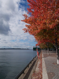 Toronto, waterfront, bord de l'eau, arbres colorées, automne