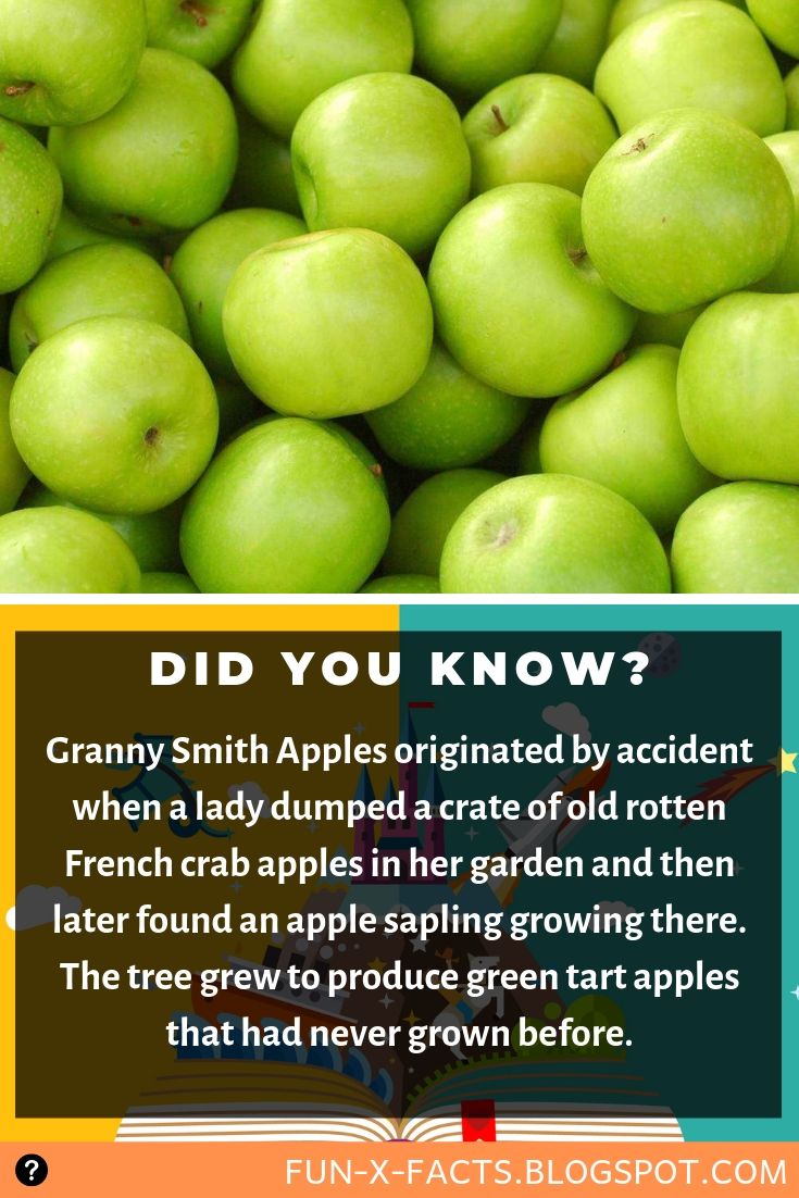 Granny Smith Apples originated by accident Amazing WTF Facts