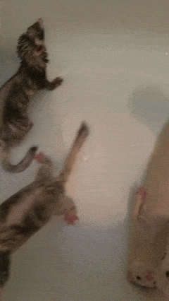 포기하면 편해 이것들아1