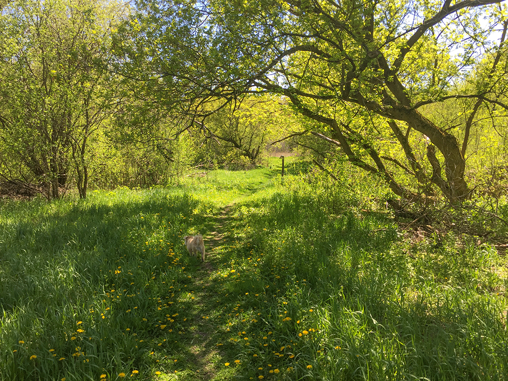 Ice Age Trail Waterville Segment in Waterville WI