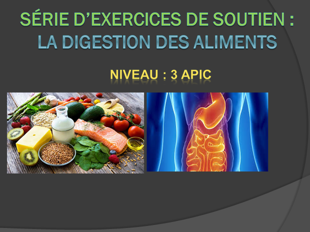 Des exercices de soutien : digestion des aliments - Lycée Collégial