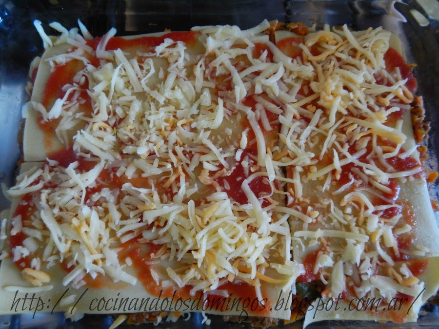 lasaña de carne y vegetales