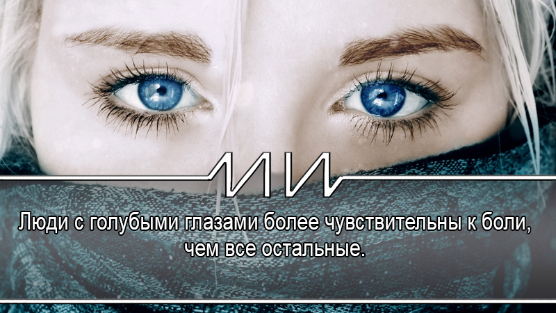 Стереотипы о голубоглазых. Цитаты про голубые глаза. Стереотипы о голубоглазых. Цвет глаз парней. Интересные факты о голубых глазах.
