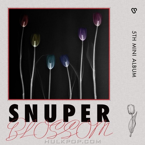 SNUPER – 5th MINI ALBUM [BLOSSOM]