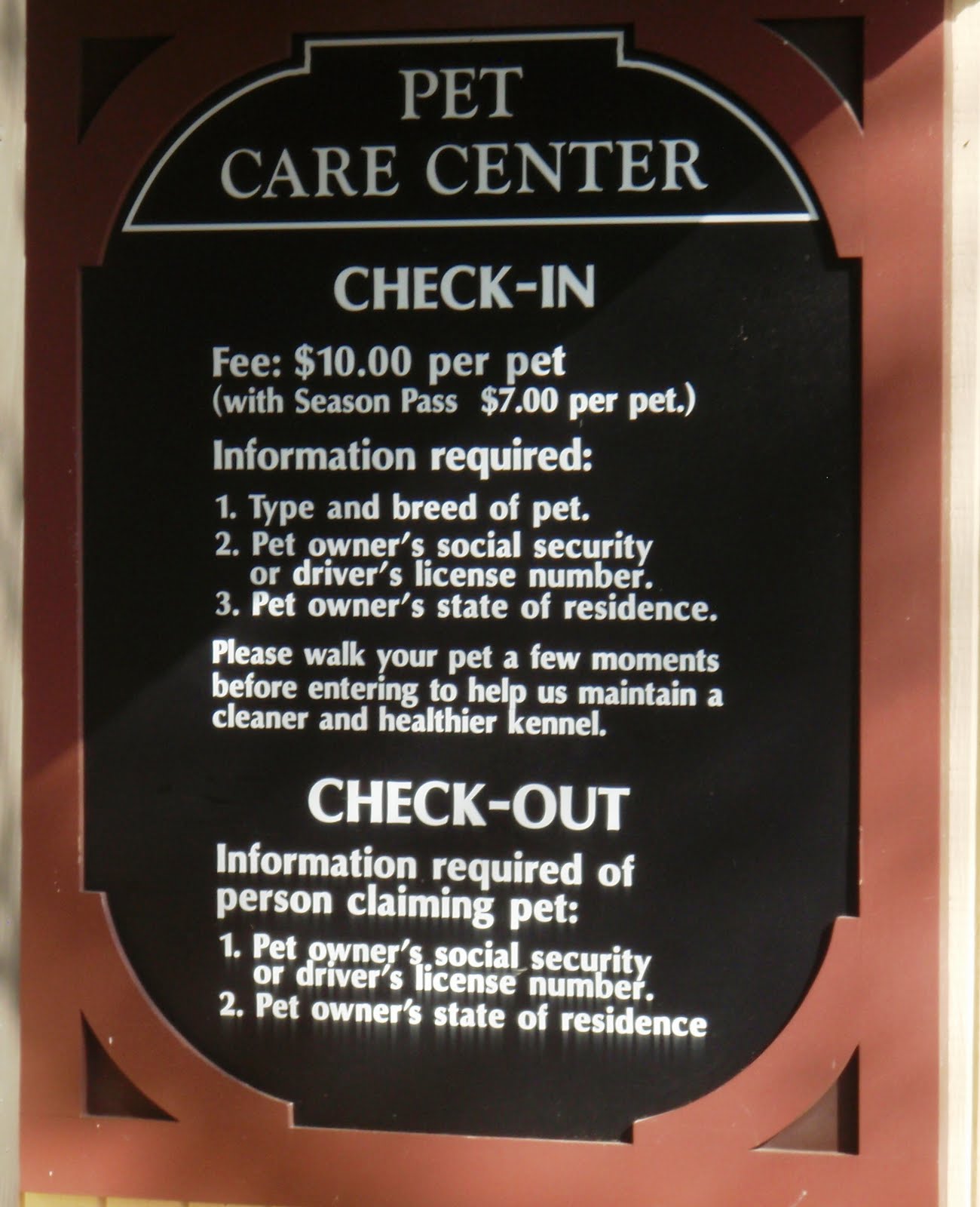 The Chronicles of Cardigan The Dogs Go to Busch Gardens (Again) An