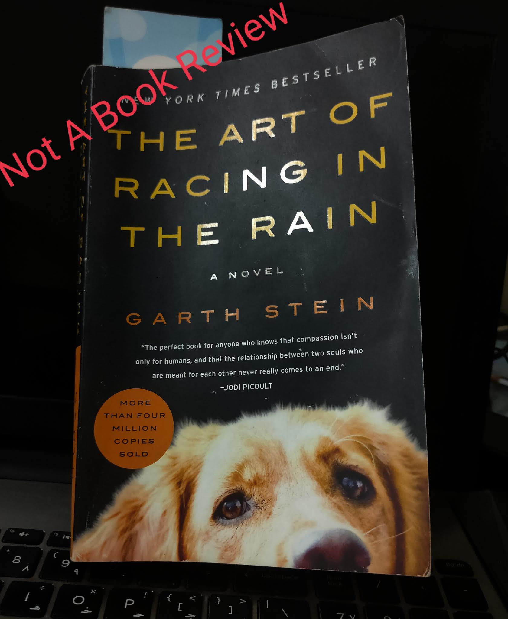 HRNTales The Art Of Racing In The Rain by Garth Stein Not a Book Review