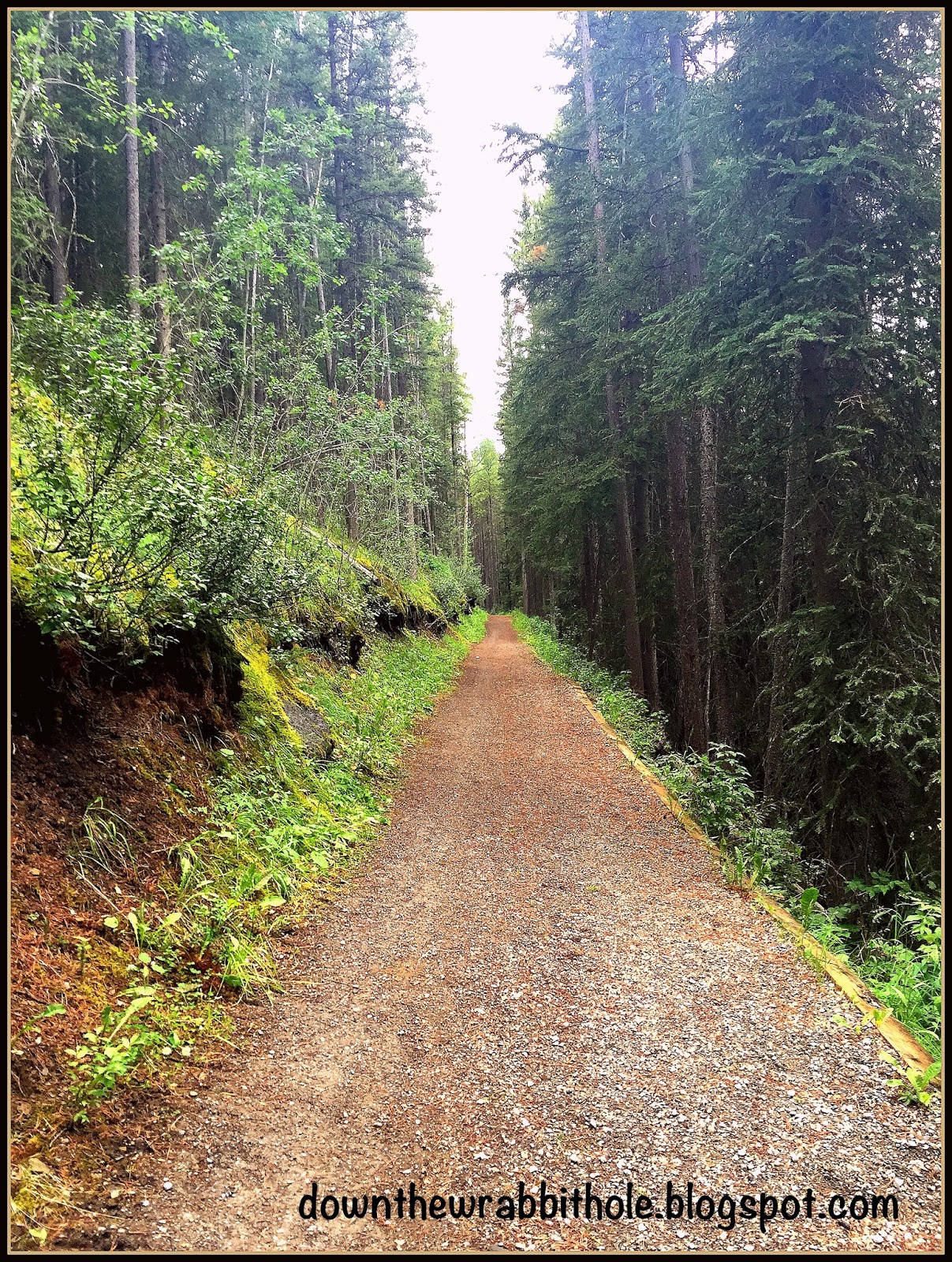 Down the Wrabbit Hole The Travel Bucket List Things to See and Do in