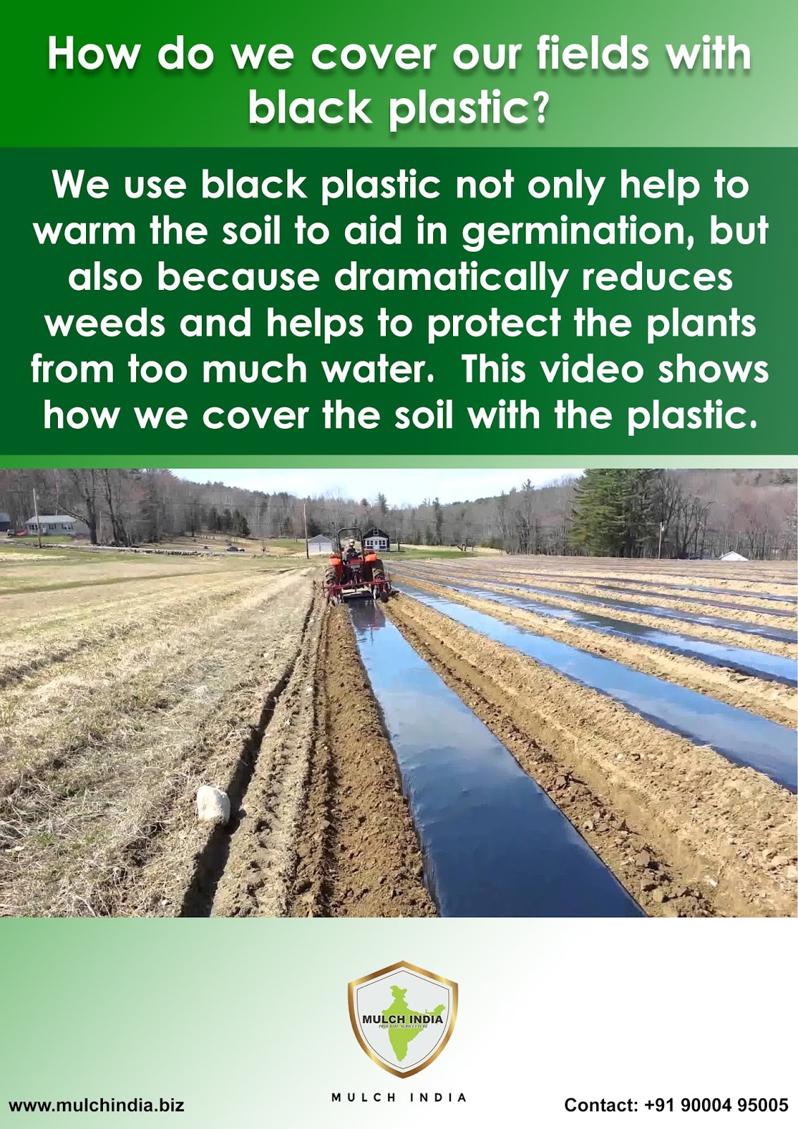 MulchIndia How do we cover our fields with black plastic? Mulch