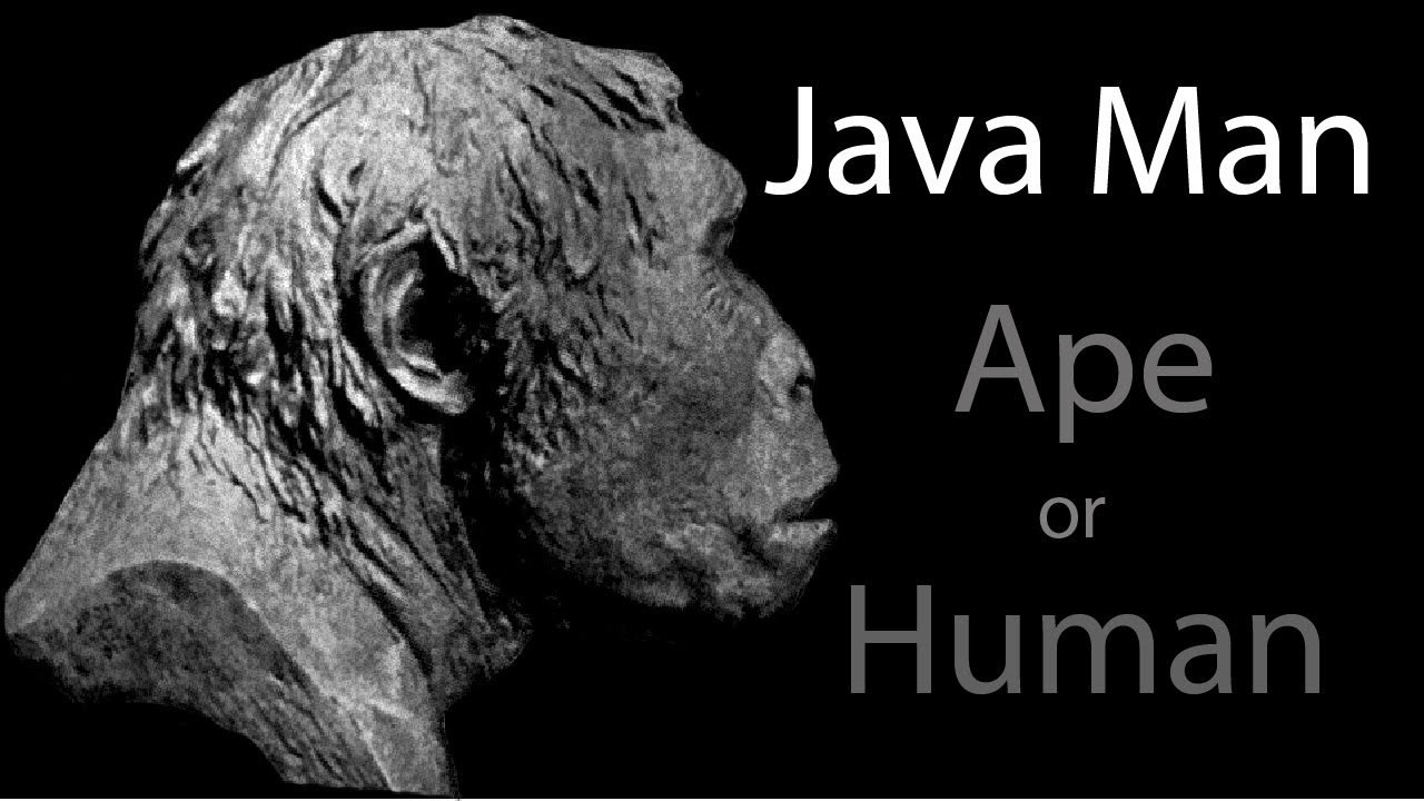 java man essay