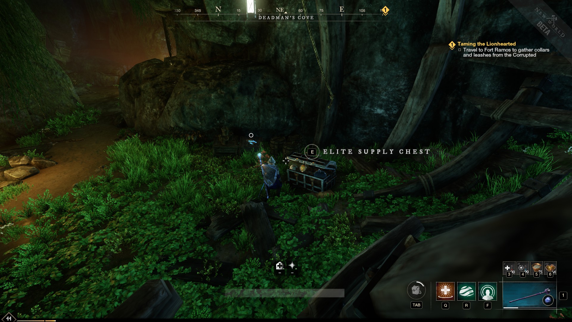 New World Deadman's Cove chest locations