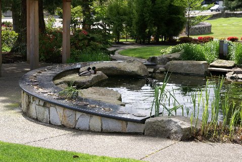 Shoreline Area News Memorial Day Acacia In Lake Forest Park Shoreline Area News Memorial Day Acacia In Lake Forest Park