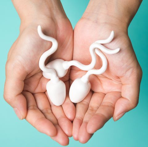 sperm fertility