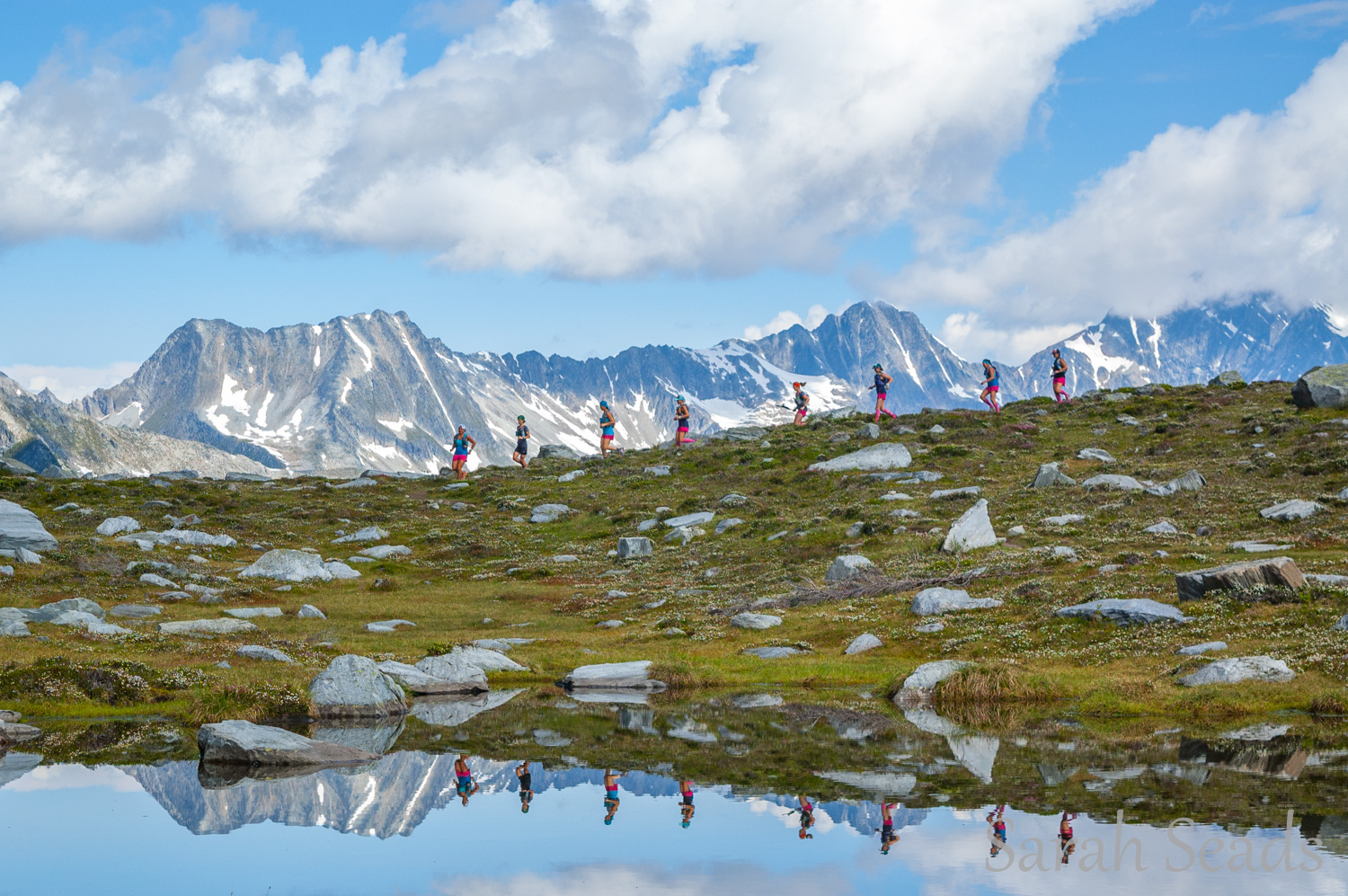 Wild Seads: Run BC Project 2016 Day 4: Abbott Ridge