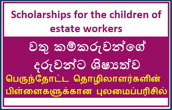 Scholarship - SInhala