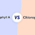 Differentiate between Chlorophyll A and Chlorophyll B ?