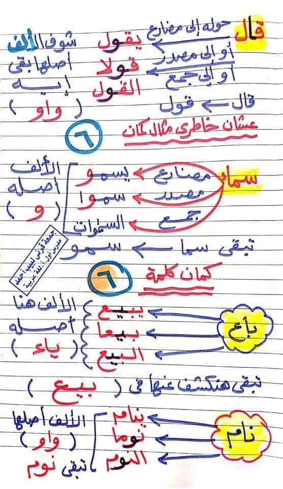 أشهر كلمات الكشف في المعجم للصف الثالث الاعدادي أ/ جمعة سعيد 7