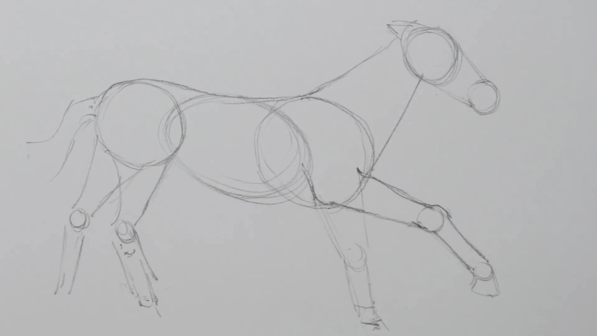 رسم حصان بالرصاص
