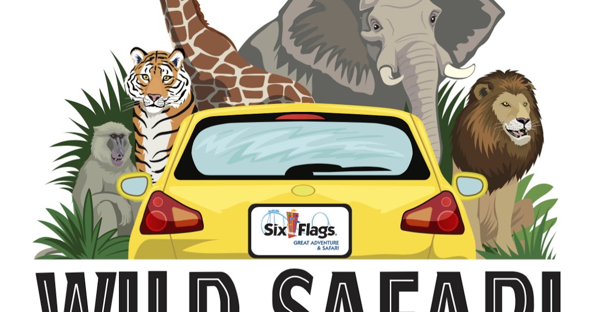 drive through safari drive through safari