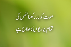 urdu quotes poetry sad nice