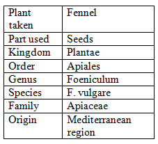 Plant profile