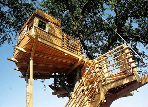 What not to miss in the tree house