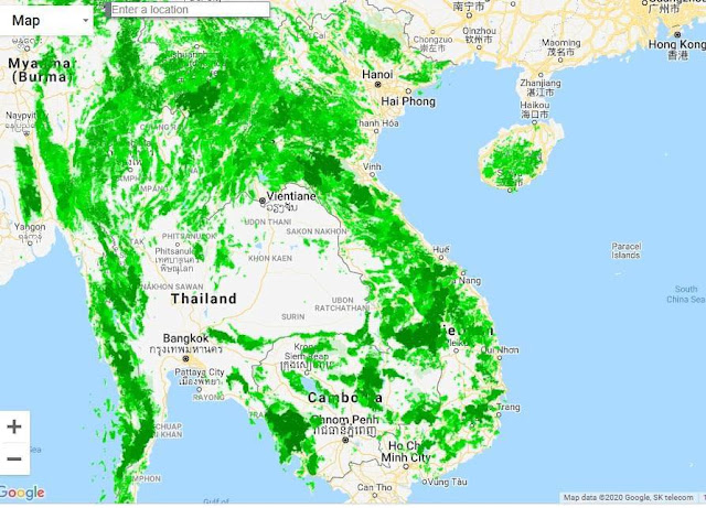 Sốc: Diện tích rừng ở Việt Nam bị mất trong vòng 20 năm qua