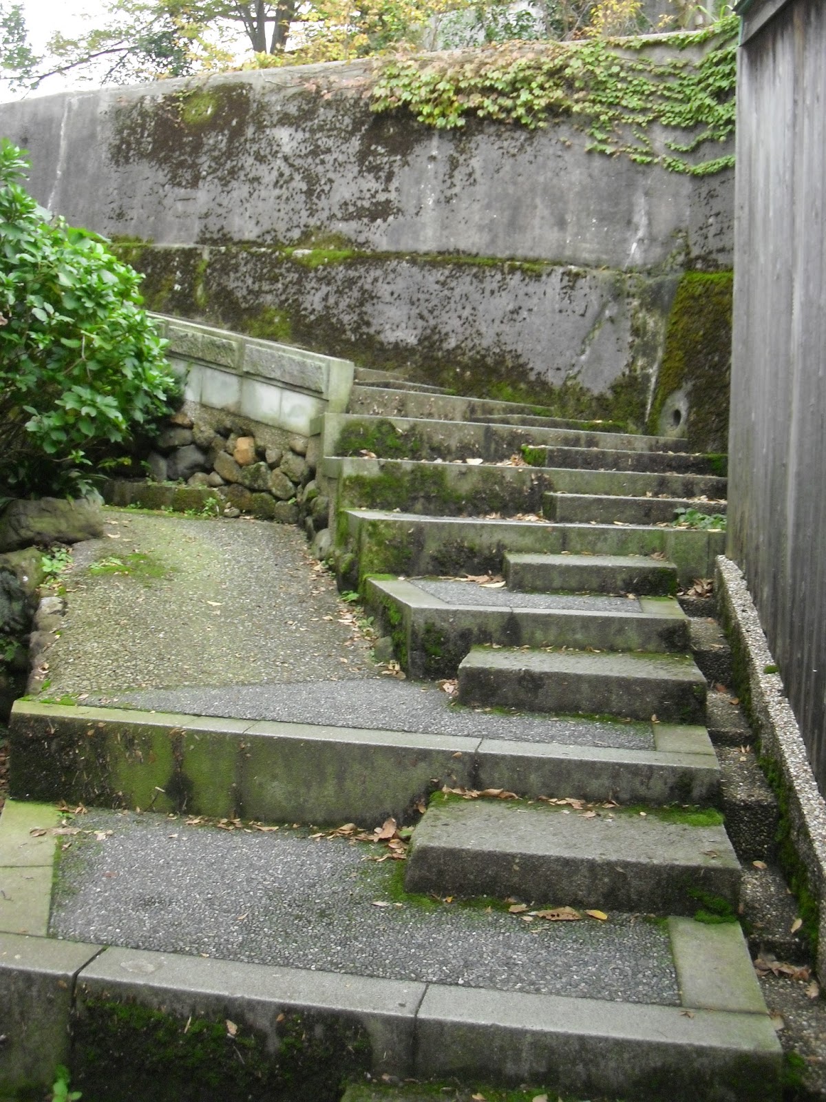 千代女もどきのつぶやき 暗がり坂 と あかり坂