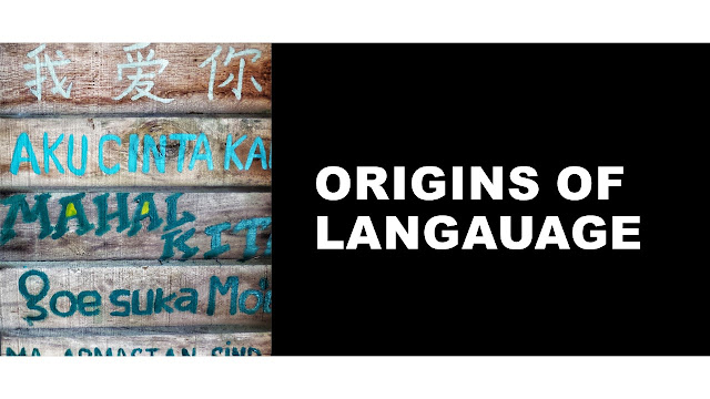 Impressive Facts About Origins of Language