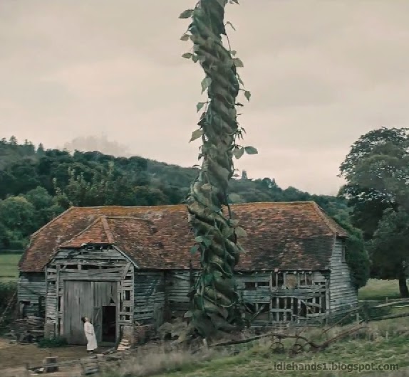 Into the Woods Moments in the woods...