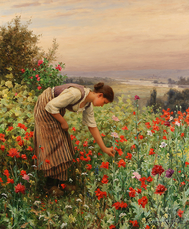 Menina Colhendo Papoilas - Daniel Ridgway Knight e suas mais belas pinturas