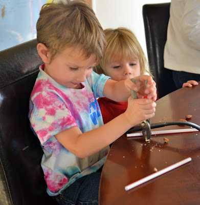 A school of fish: Adaptations and Bird Beak activity