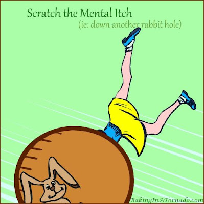 Scratch the Mental Itch | graphic designed by and property of www.BakingInATornado.com | #MyGraphics #humor