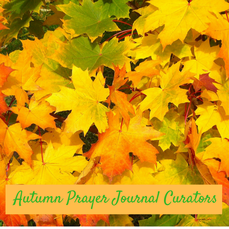 Life Of A Catholic Librarian Autumn Prayer Journal Curators Volume 5 Life Of A Catholic Librarian Autumn Prayer Journal Curators Volume 5