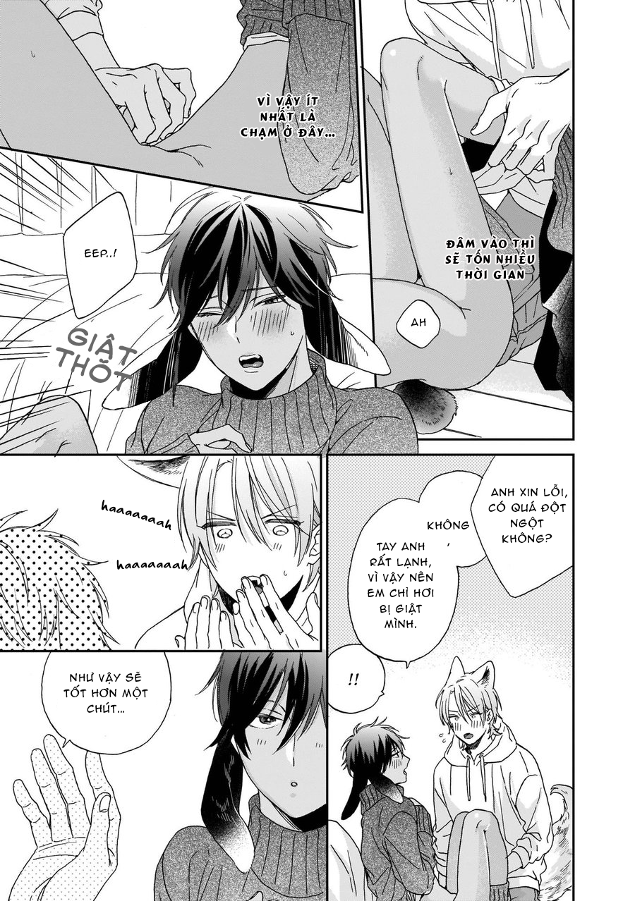 Đọc truyện Ookami-kun sẽ không buông tay! - Chapter 2