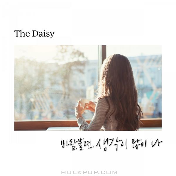 The Daisy – 바람불면 생각이 많이 나 – Single