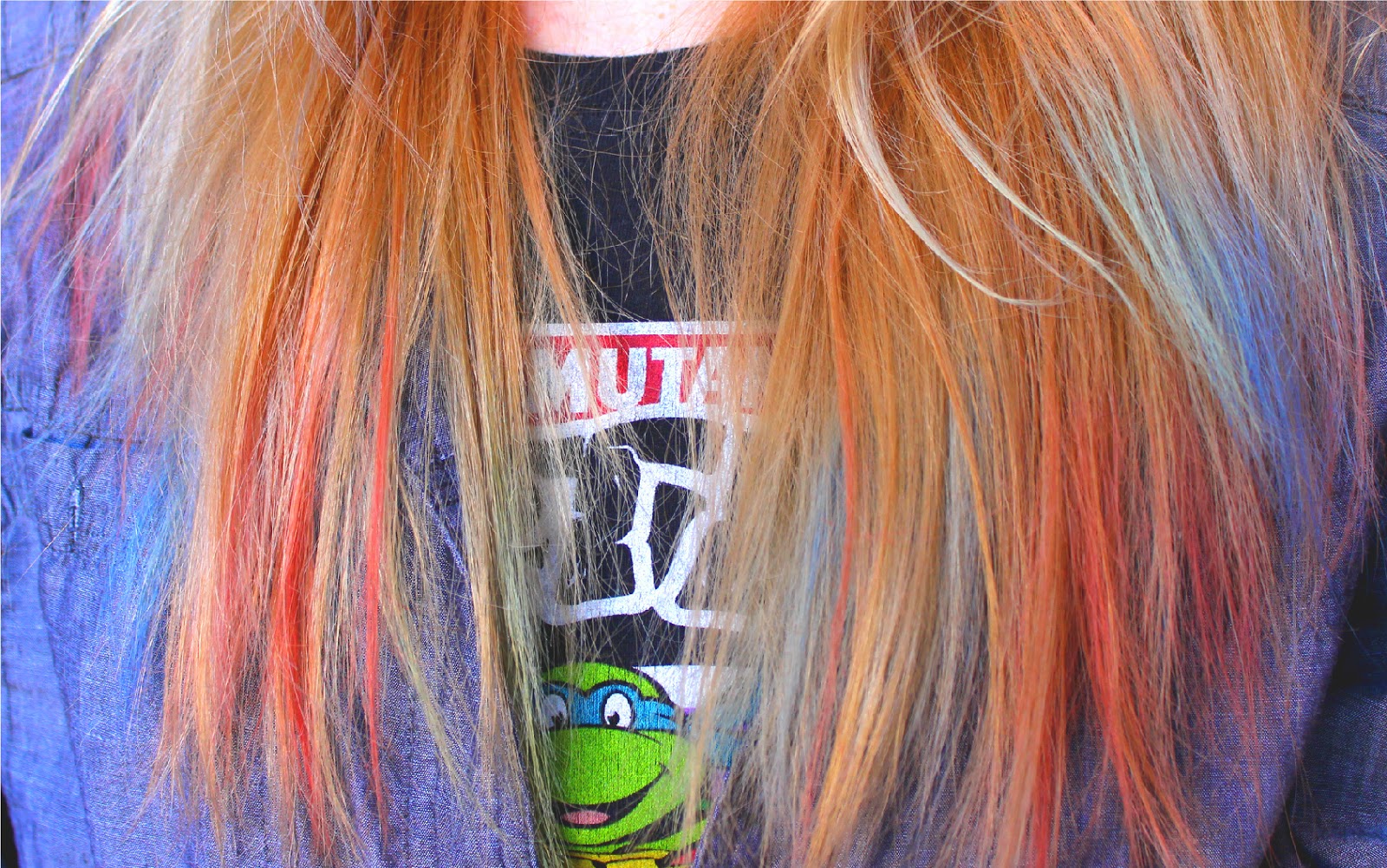 Diaries of a Sunflower DIY Chalk Hair Dye