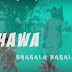 DOWNLOAD VIDEO | Hawa Ntarejea - Shagala Bagala mp4few
