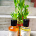 2 Body Wash from Khadi Natural - Orange, Lemongrass and Sandal, Turmeric Herbal Body Wash Review