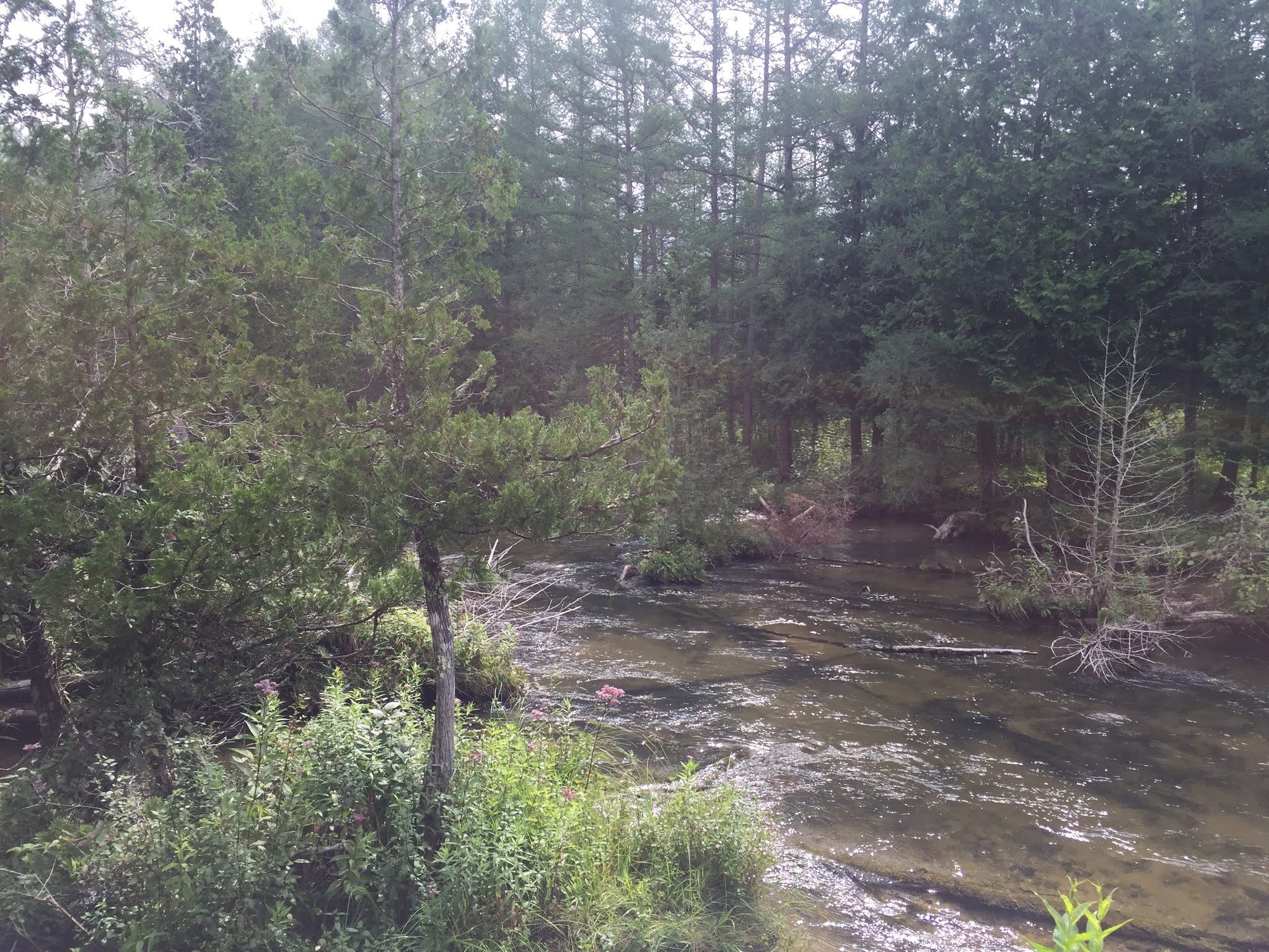 Travel Reviews & Information Mancelona and East Jordan, Michigan