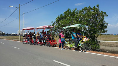 HOMESTAY TANJUNG KARANG KUALA SELANGOR: TEMPAT MENARIK DI TANJUNG