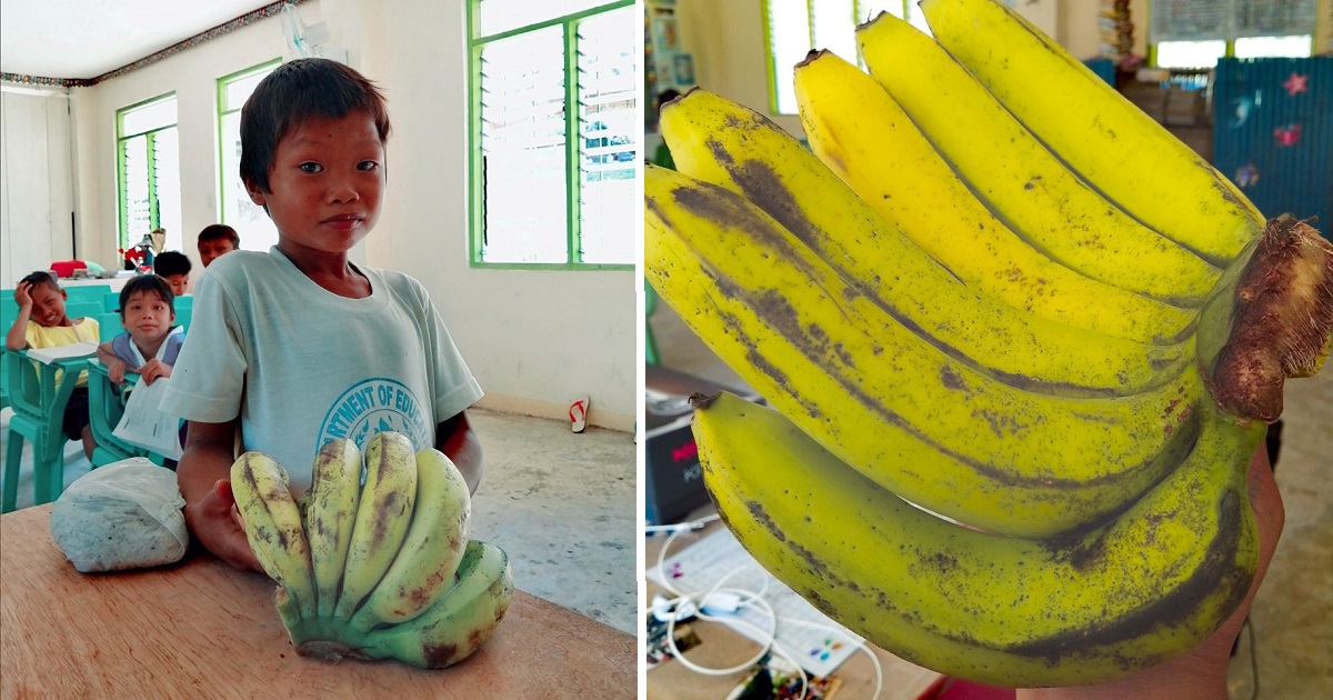 Teacher assigned in the mountains, receives bananas as gift from barefoot student
