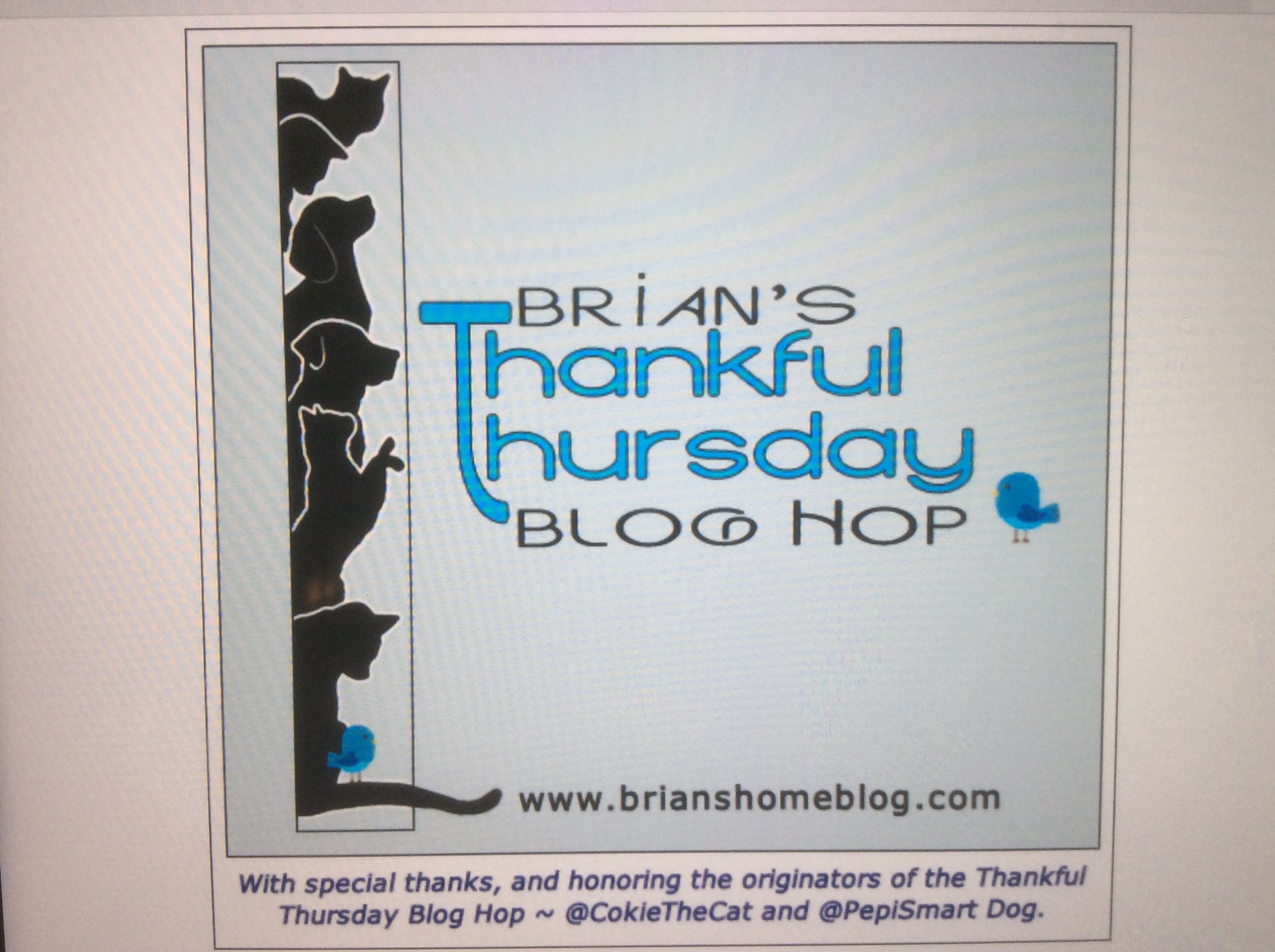 messymimi's meanderings Filling a Vacuum (Six Sentence Story), Flowery