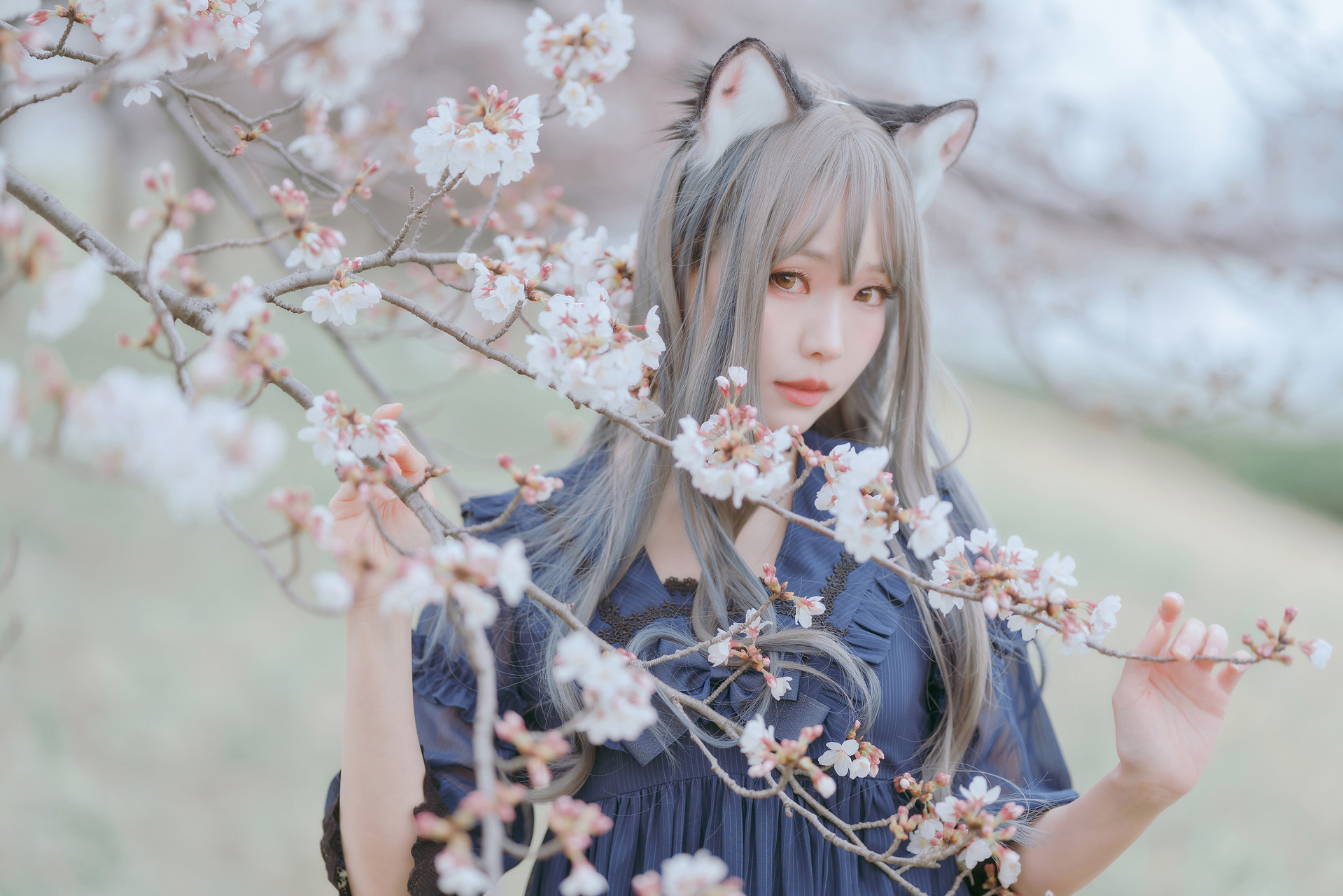 [Ely] Sakura桜 2021 Nekomimi Ver.