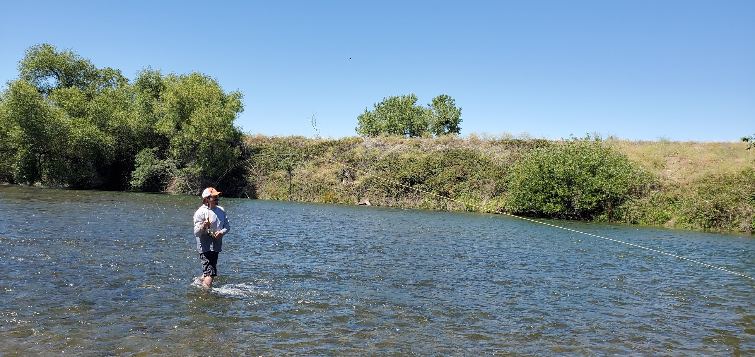 Nor Cal Fly Guides Ncfg Blog Northern California Fly Fishing Guide, Northern California Fly
