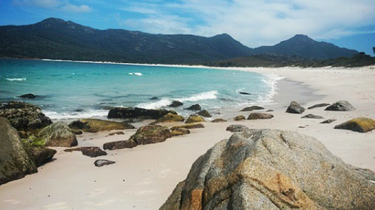 How To Recreate Aussie Christmas For Expats – Bright Lights of America